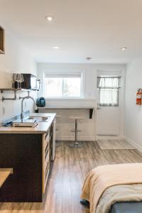 whale house guest house