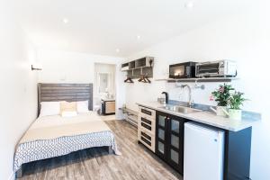 whale house guest house