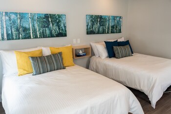 morel executive suites