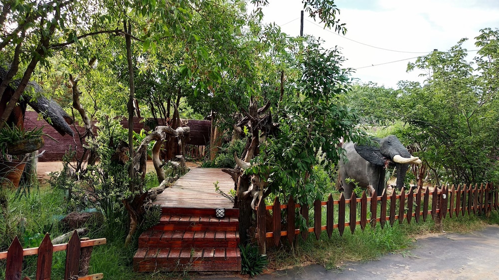elephant trail guesthouse and backpackers