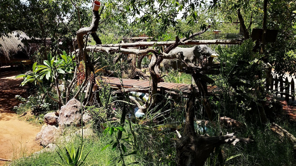 elephant trail guesthouse and backpackers