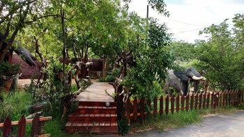 elephant trail guesthouse and backpackers