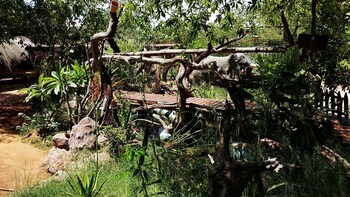 elephant trail guesthouse and backpackers