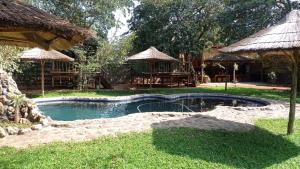 elephant trail guesthouse and backpackers