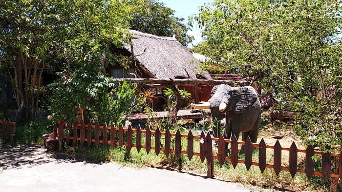 elephant trail guesthouse and backpackers