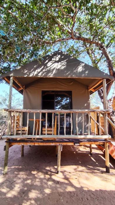 elephant trail guesthouse and backpackers