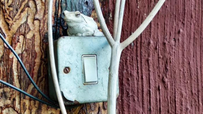 elephant trail guesthouse and backpackers