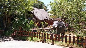 elephant trail guesthouse and backpackers
