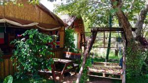 elephant trail guesthouse and backpackers