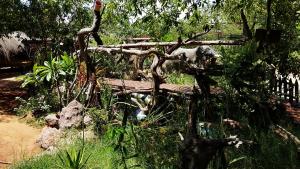 elephant trail guesthouse and backpackers