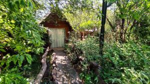 elephant trail guesthouse and backpackers