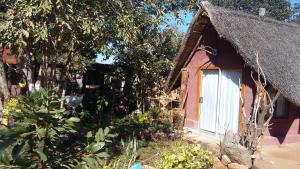 elephant trail guesthouse and backpackers