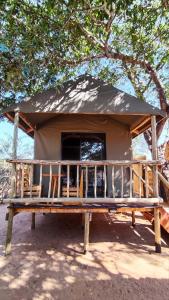 elephant trail guesthouse and backpackers
