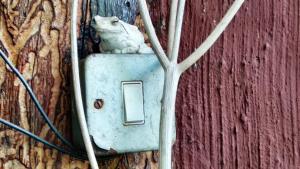 elephant trail guesthouse and backpackers