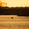 Xaro Lodge,Okavango Delta>>Mahango,3 star