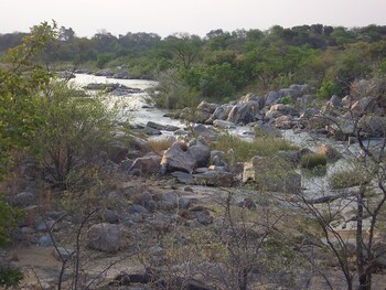 nyangombe safari lodge