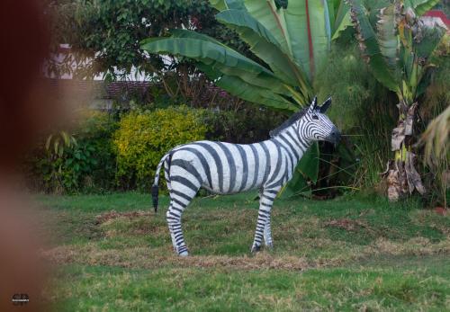 highlands lodges and apartments