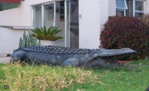 highlands lodges and apartments