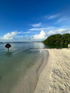 dream cabanas