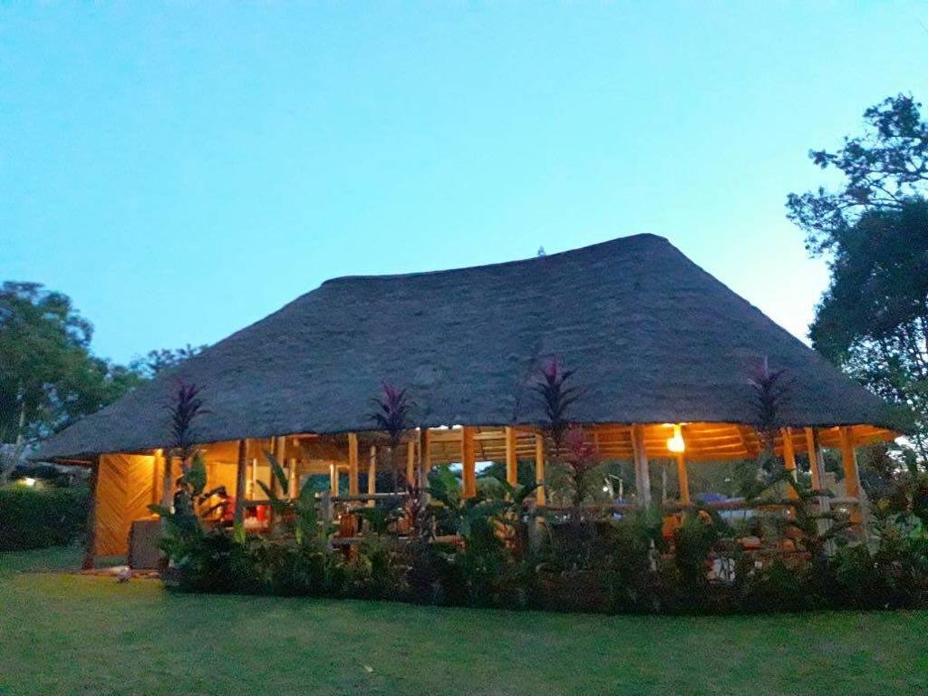 bushbaby lodge