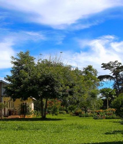 Bushbaby Lodge,Mukono>>Kampala,3 star