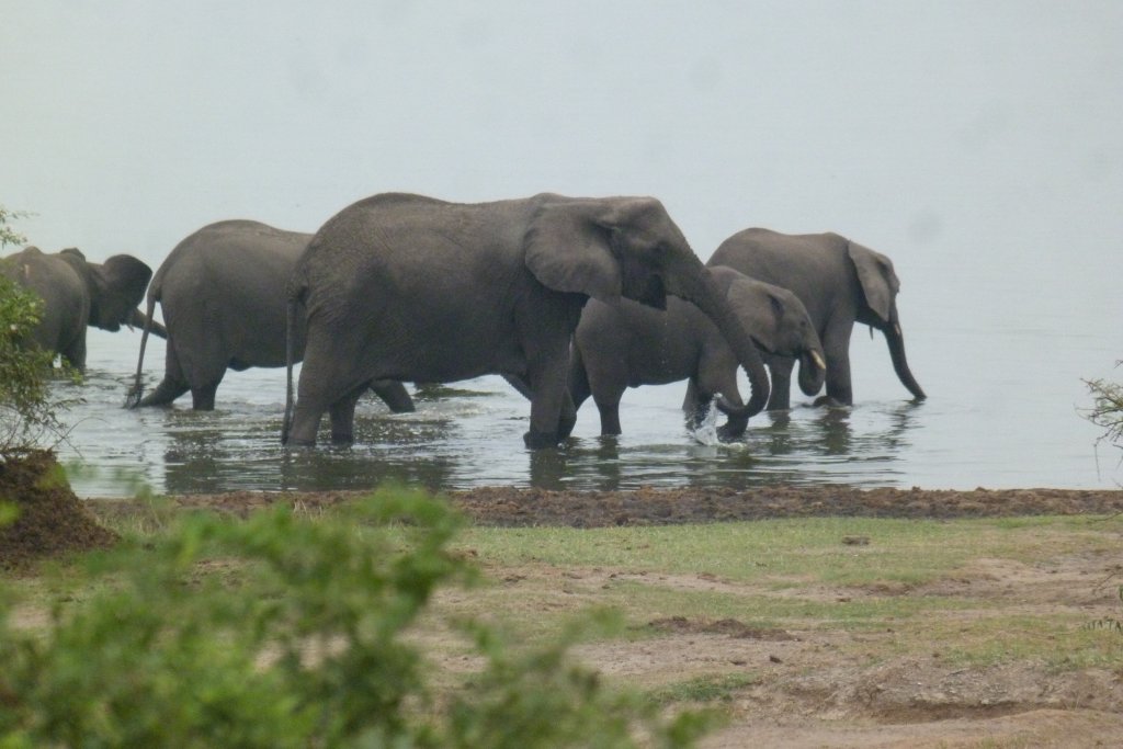 kasese