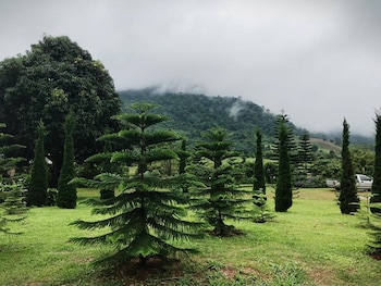 Loesloei Garden Resort Phurua,Phu Ruea>>Loei,3 star