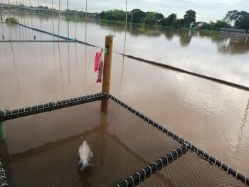 lom choi home stay ayutthaya hostel