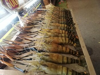 lom choi home stay ayutthaya hostel