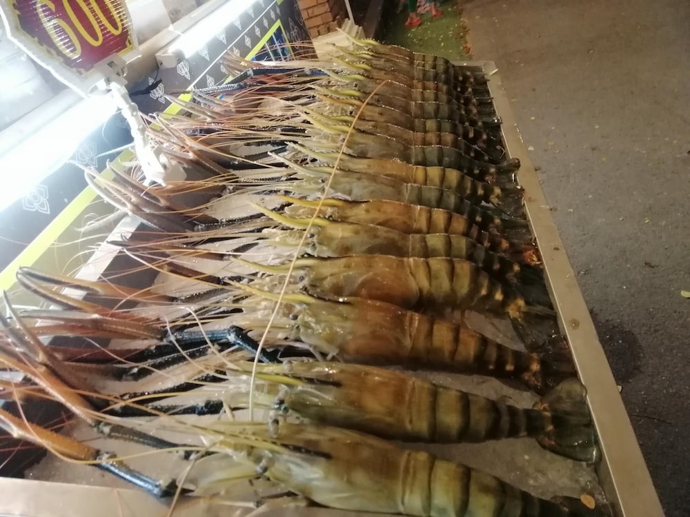 lom choi home stay ayutthaya hostel