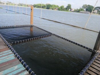 lom choi home stay ayutthaya hostel