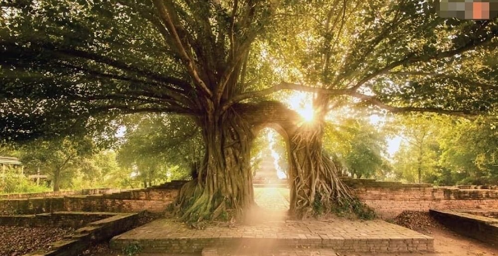 lom choi home stay ayutthaya hostel