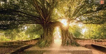 lom choi home stay ayutthaya hostel