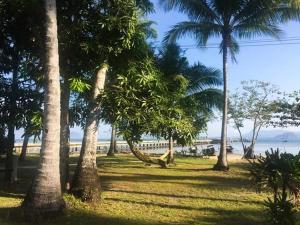 mr yong tour and homestay