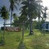 mr yong tour and homestay