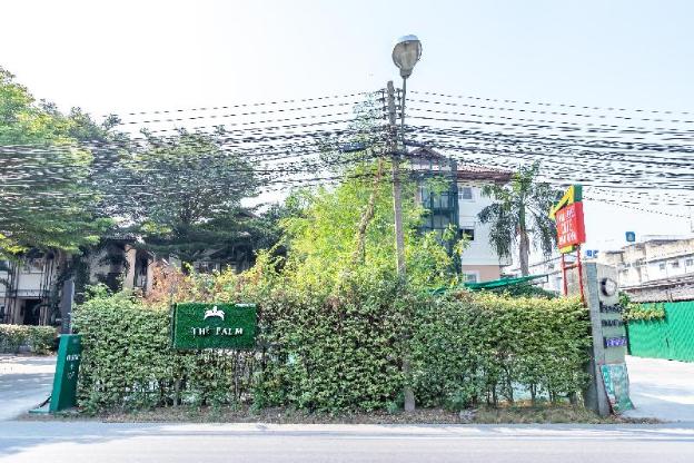 the palm hotel