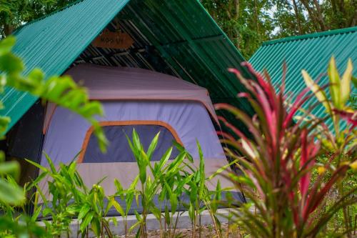 sawasdee lagoon camping resort