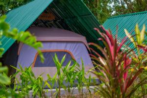 sawasdee lagoon camping resort