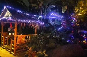 oasis villa