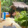 oasis villa