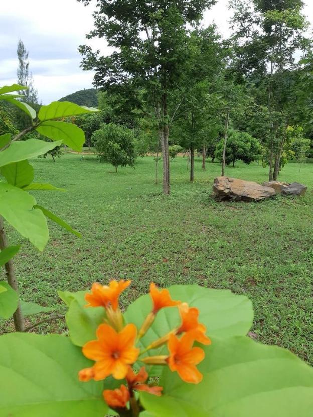 kaeng krachan