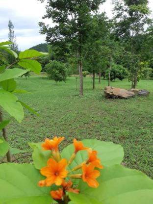 kaeng krachan