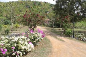 kaeng krachan