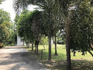 pak phli