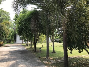 pak phli