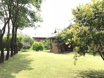 pak phli