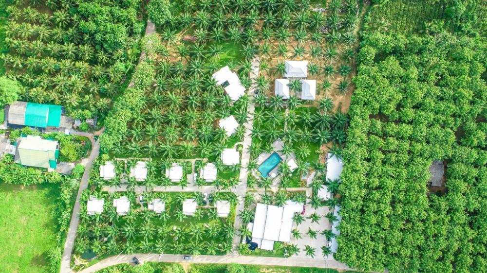 palm pran resort