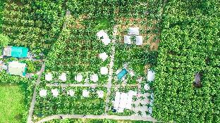 palm pran resort