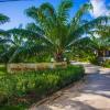 palm pran resort