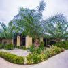palm pran resort